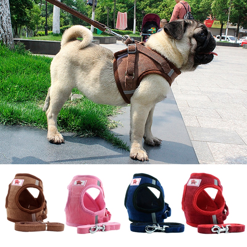 Dogs Soft Breathable Harness with Leash