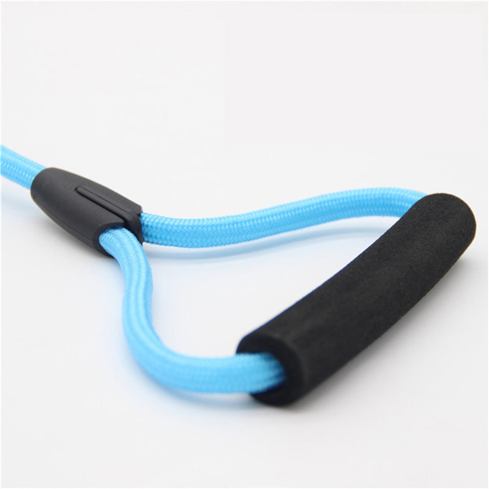 Nylon Training Rope for Dogs