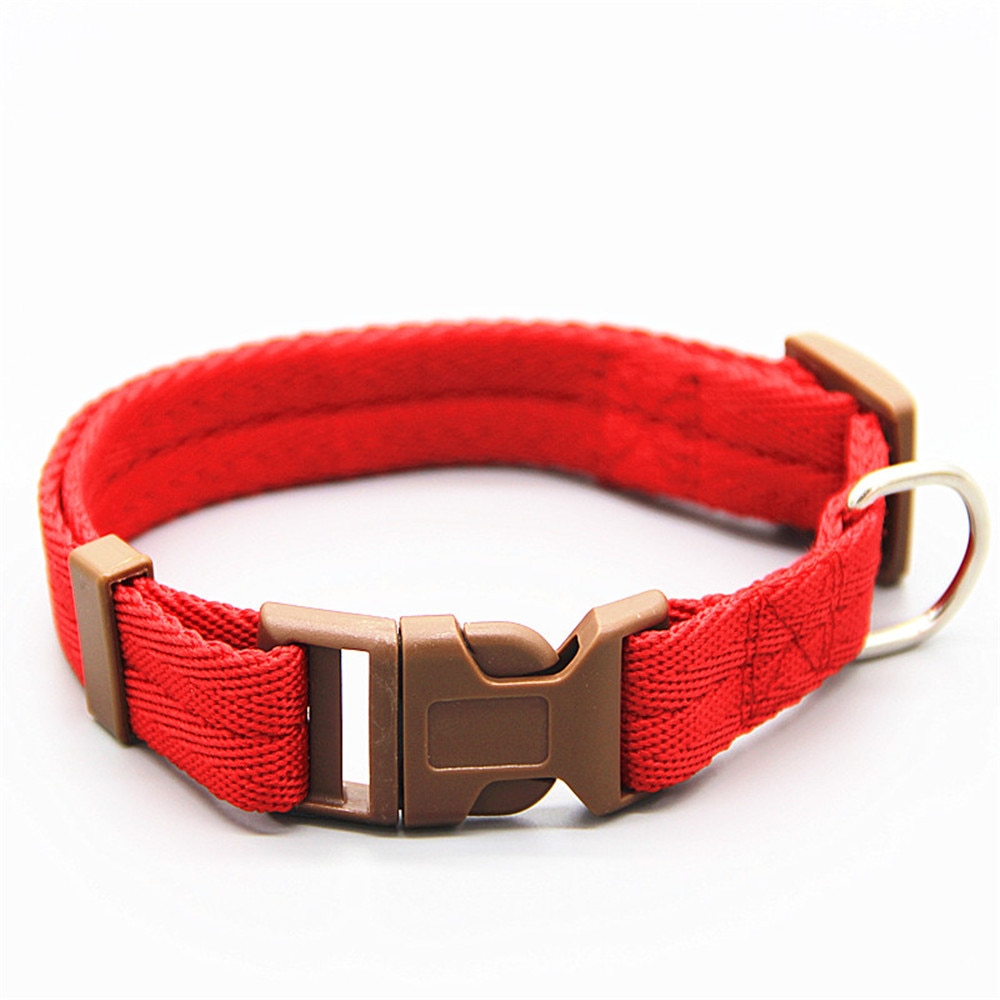 Nylon Training Rope for Dogs
