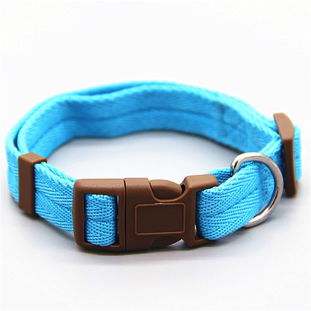 Nylon Training Rope for Dogs