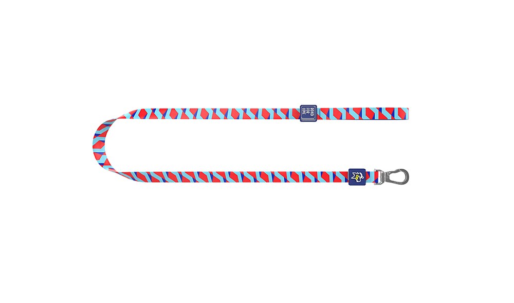 Medium Dog Walking Leash