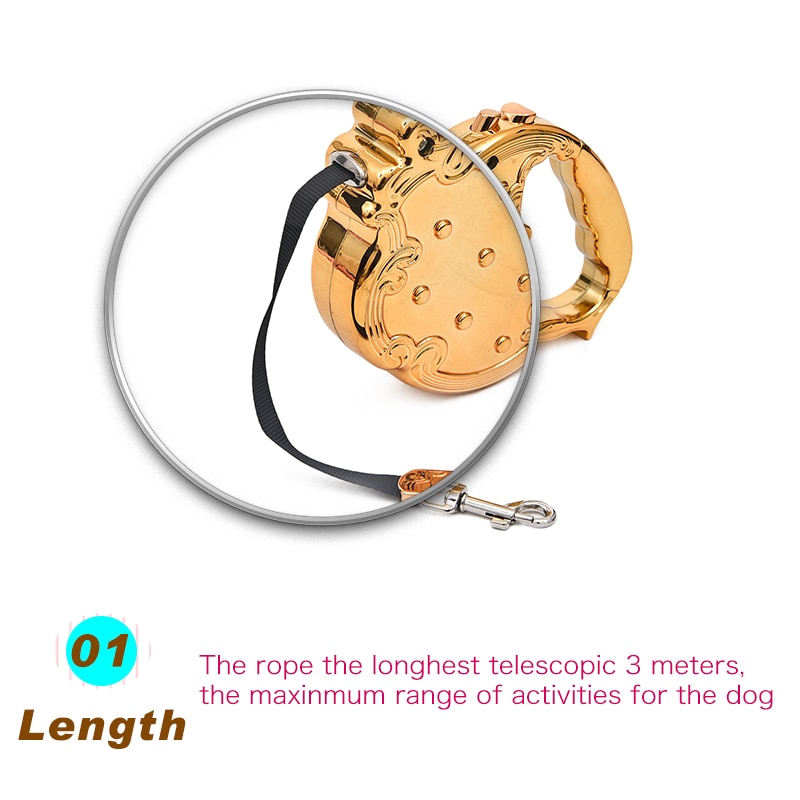 Luxury Auto Leash for Dogs