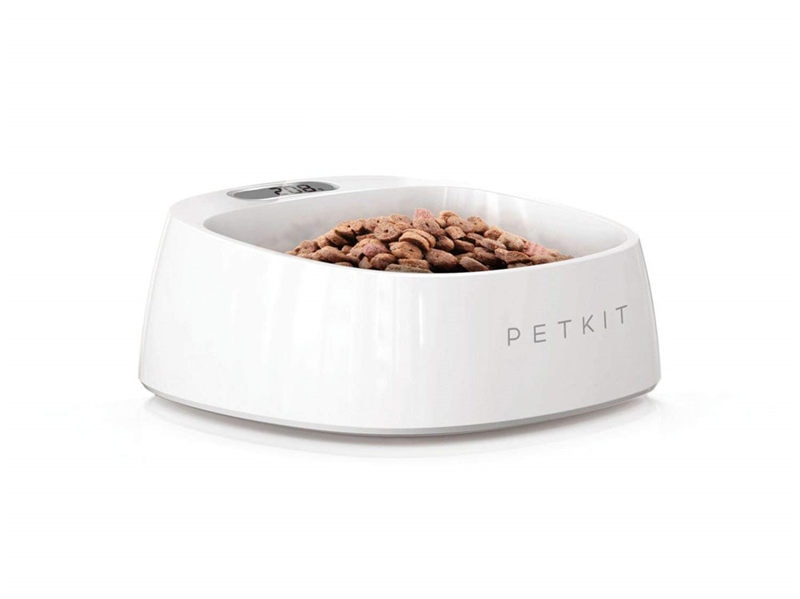Smart Feeding Bowl for Dogs