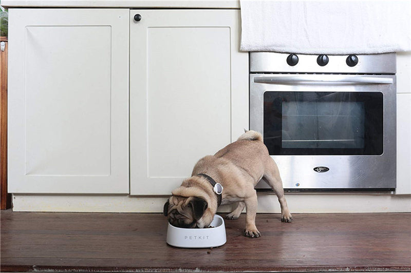 Smart Feeding Bowl for Dogs