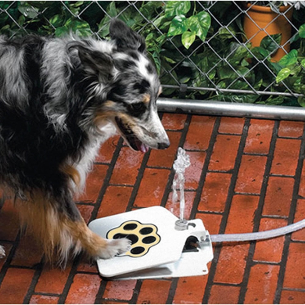Dog Drinking Fountain