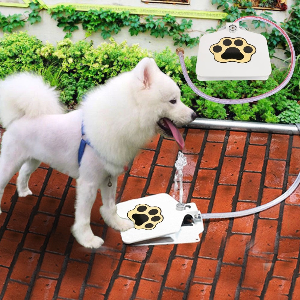 Dog Drinking Fountain
