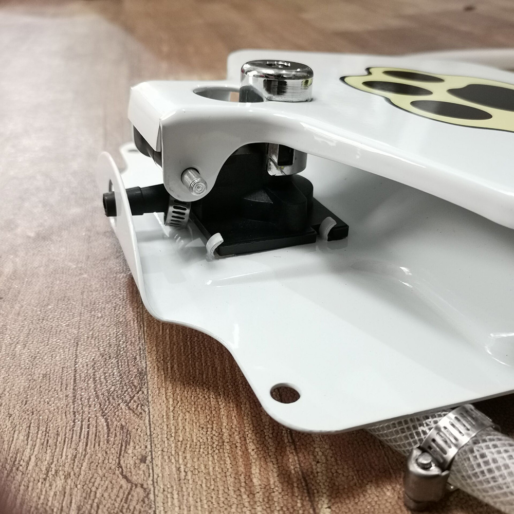 Dog Drinking Fountain