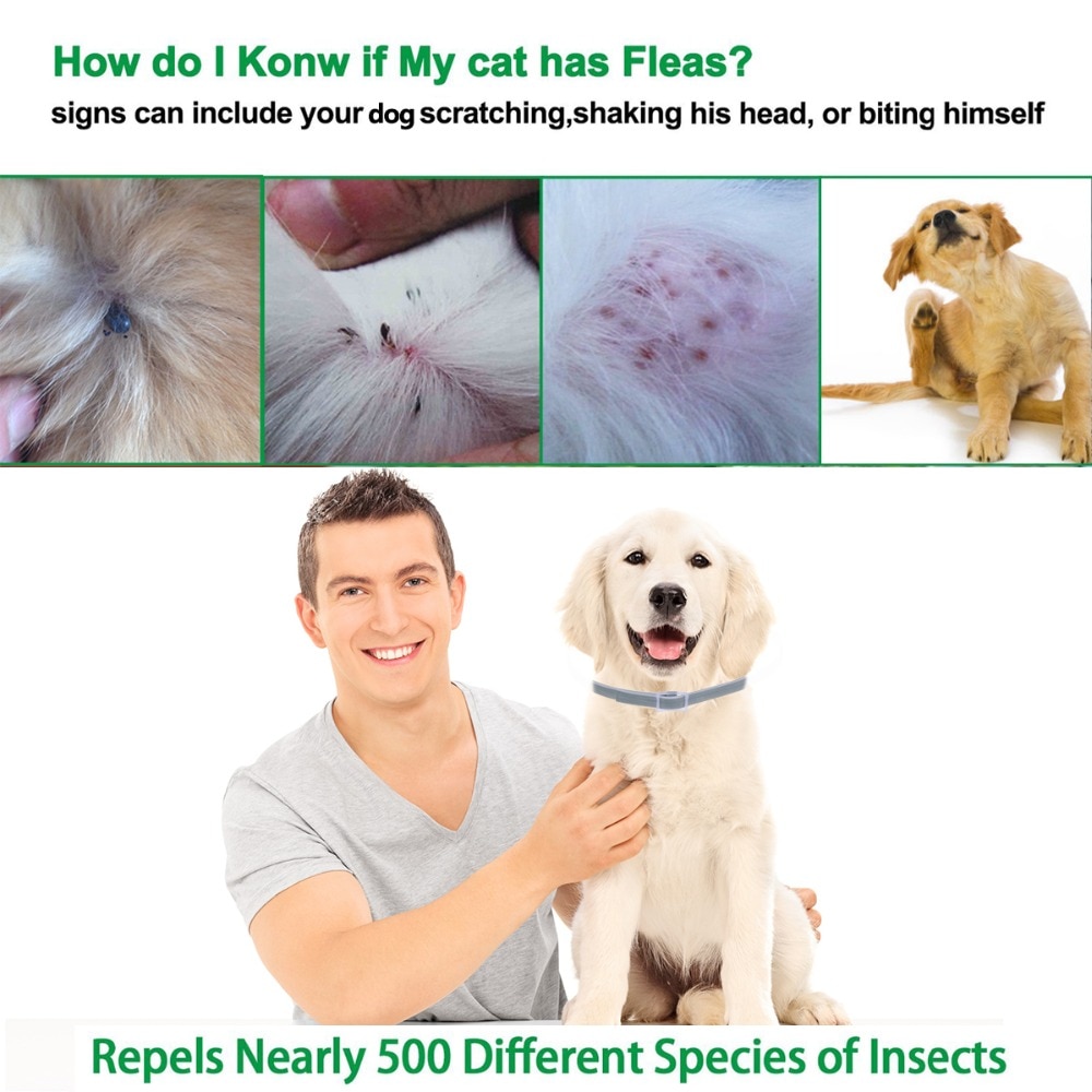 Waterproof Anti-Flea Pet Collar