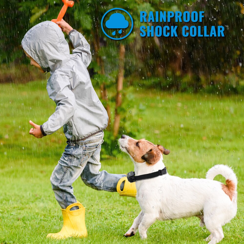 Petrainer Remote Electric Rainproof Dog Training Collar With LCD Display