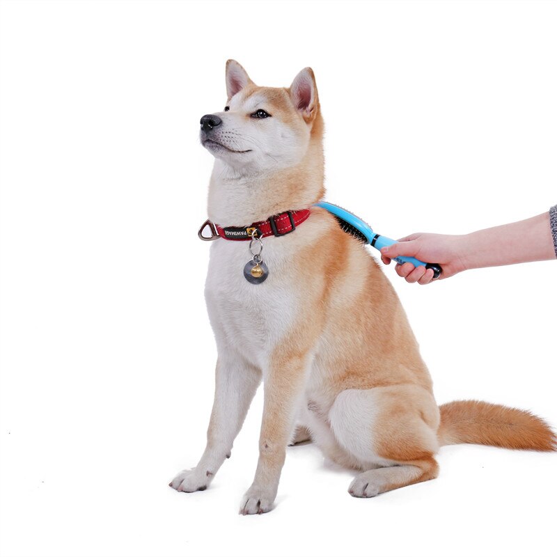 Double Sided Massage Grooming Brush for Pets