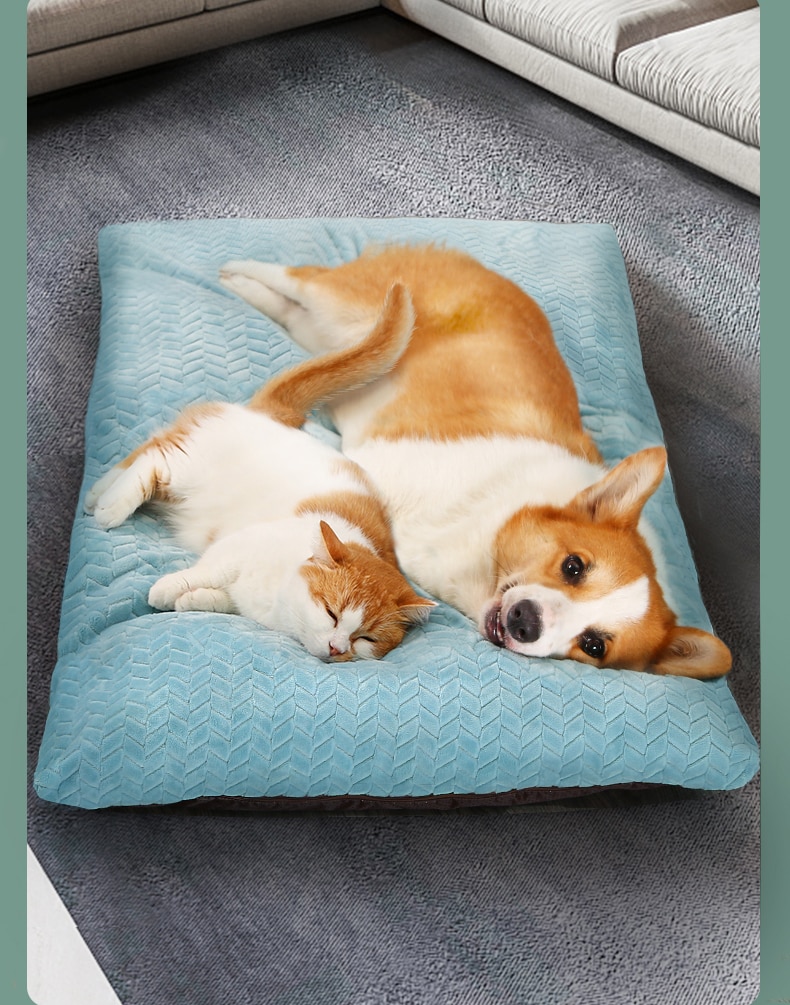 Dogs Soft Pillow Mat