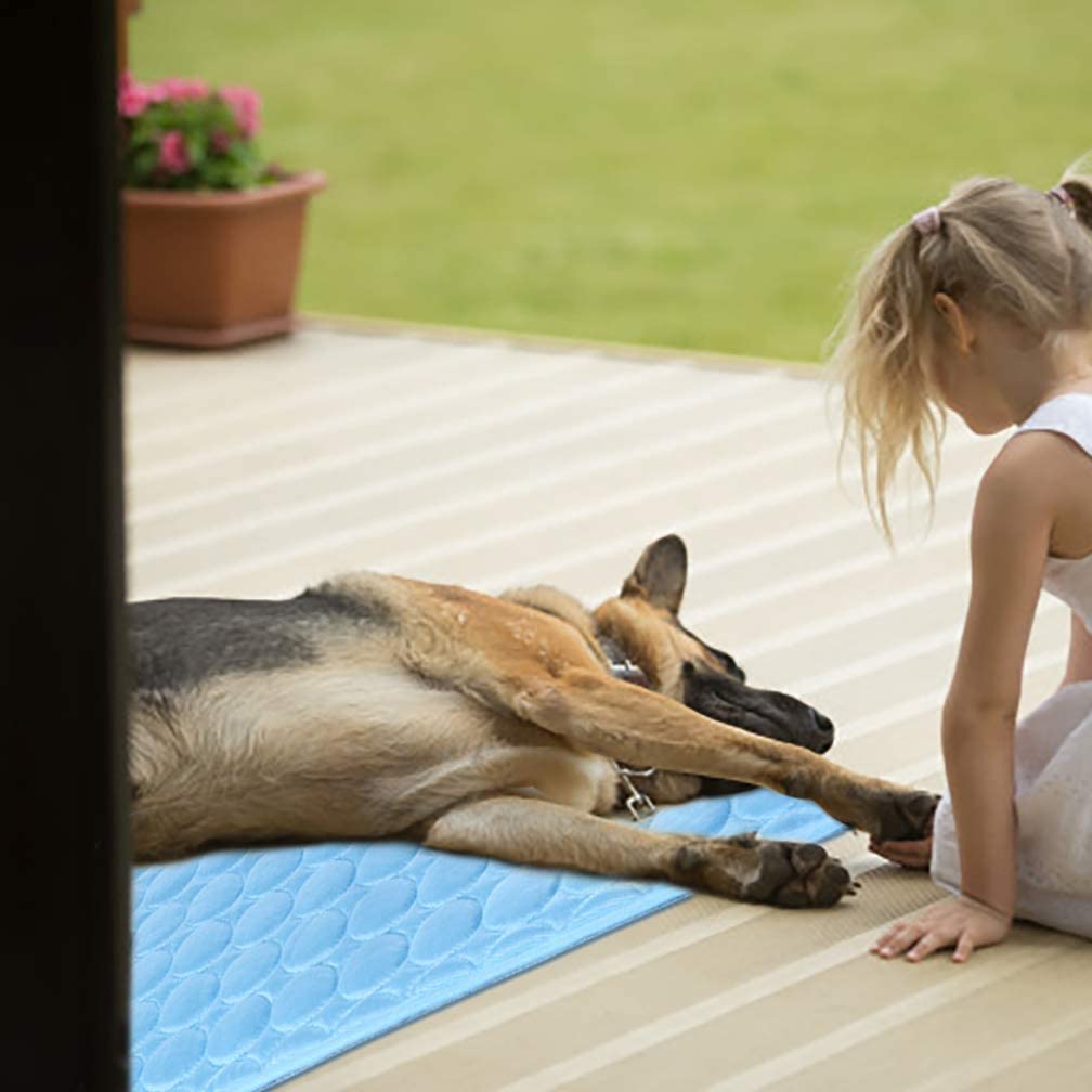 Washable Summer Cooling Mat for Dogs