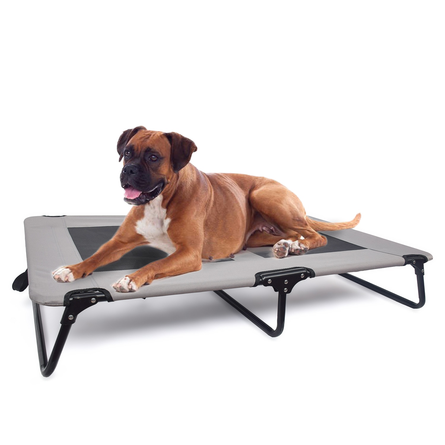 Folding Travel Dog Bed