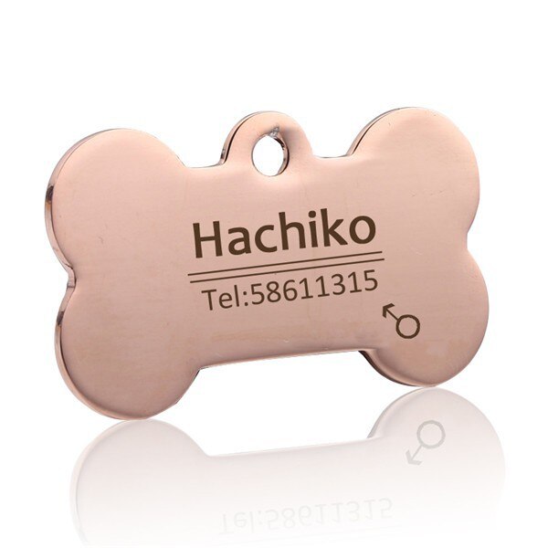 Personalized Stainless Steel Dog ID Tag