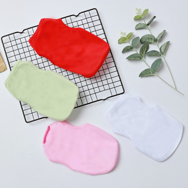 Printed Summer Cat T-Shirt