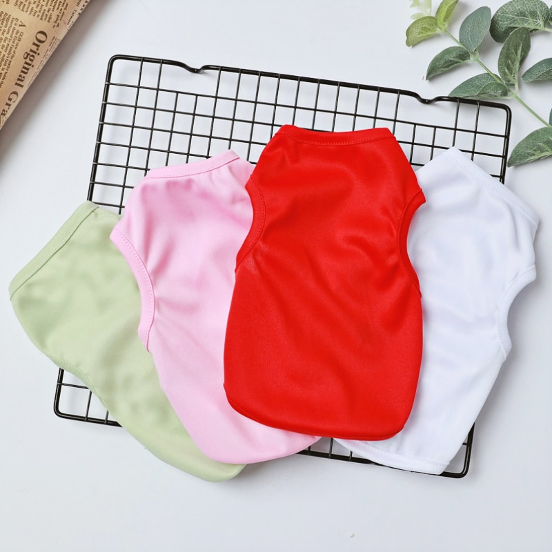 Printed Summer Cat T-Shirt