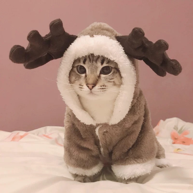 Warm Winter Horned Cat Coat