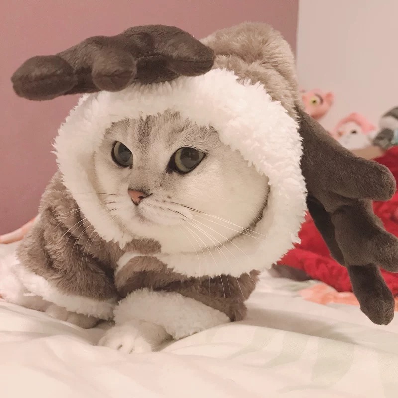 Warm Winter Horned Cat Coat