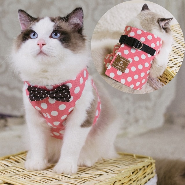 Gentleman Style Cat Harness with Leash