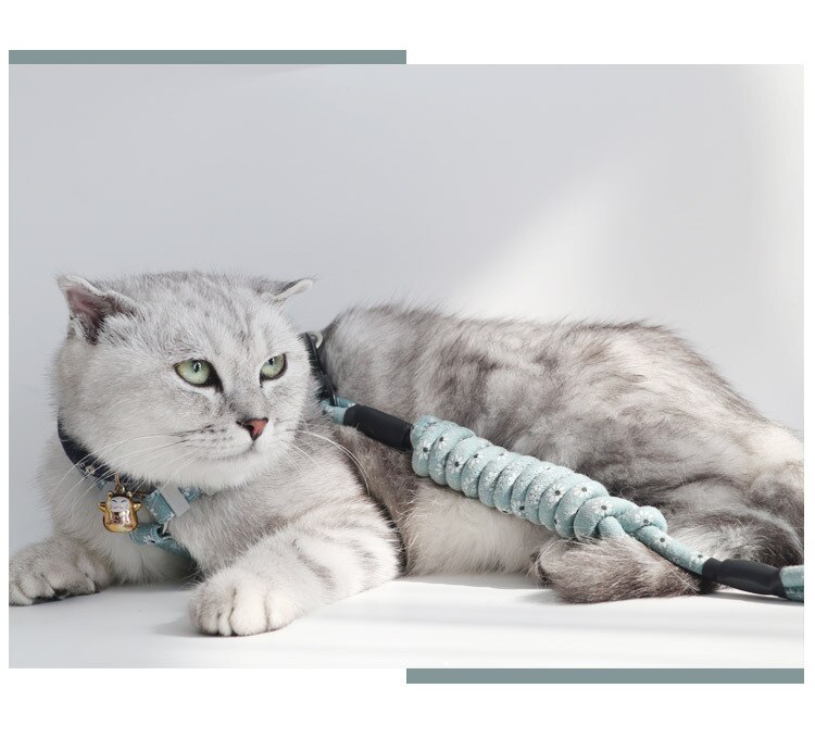 Floral Patterned Cat Harness and Leash