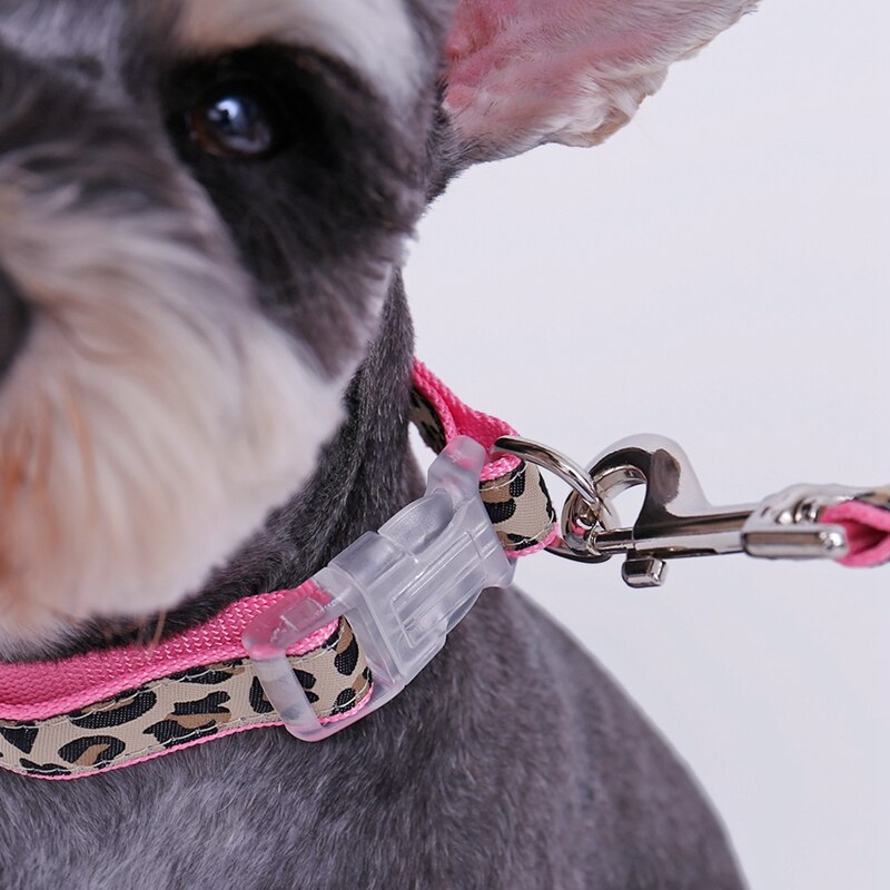 Adjustable Leopard Printed Belt and Harness Set