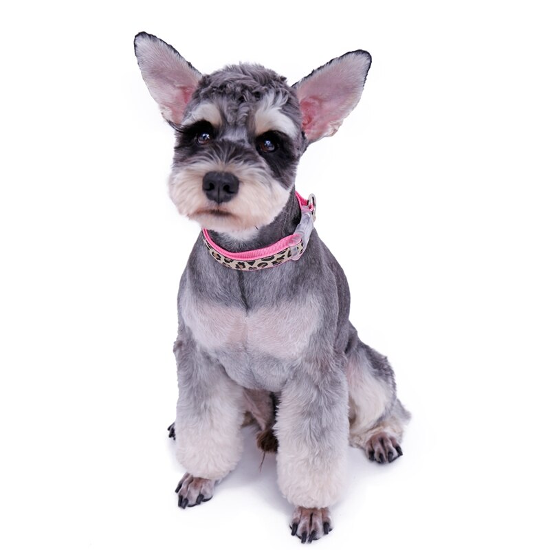 Adjustable Leopard Printed Belt and Harness Set