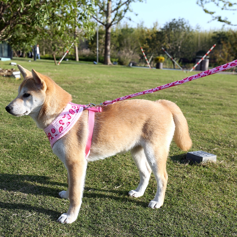 Cute Adjustable Safety Control Pet Harness