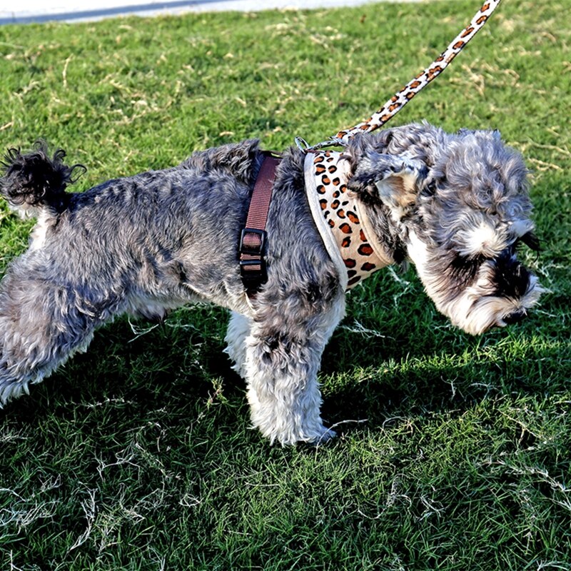 Cute Adjustable Safety Control Pet Harness