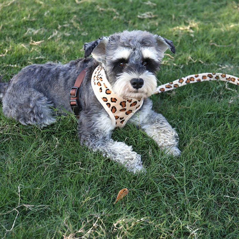 Cute Adjustable Safety Control Pet Harness