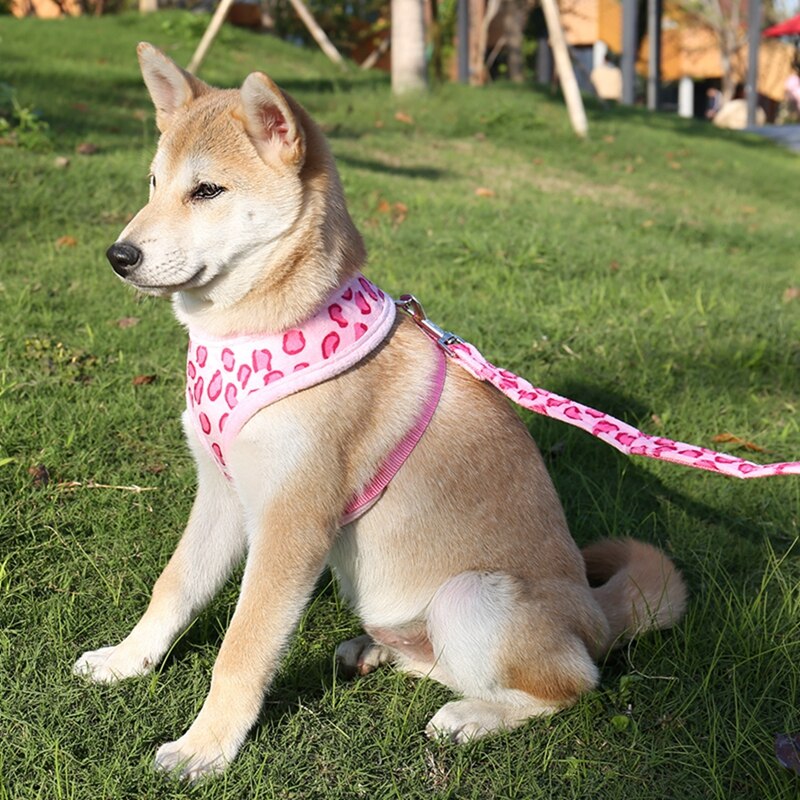 Cute Adjustable Safety Control Pet Harness