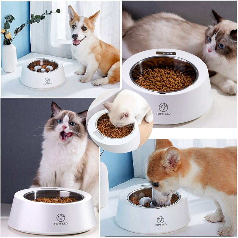 Pet Smart Bowl for Feeding Pet Smart Bowl for Feeding