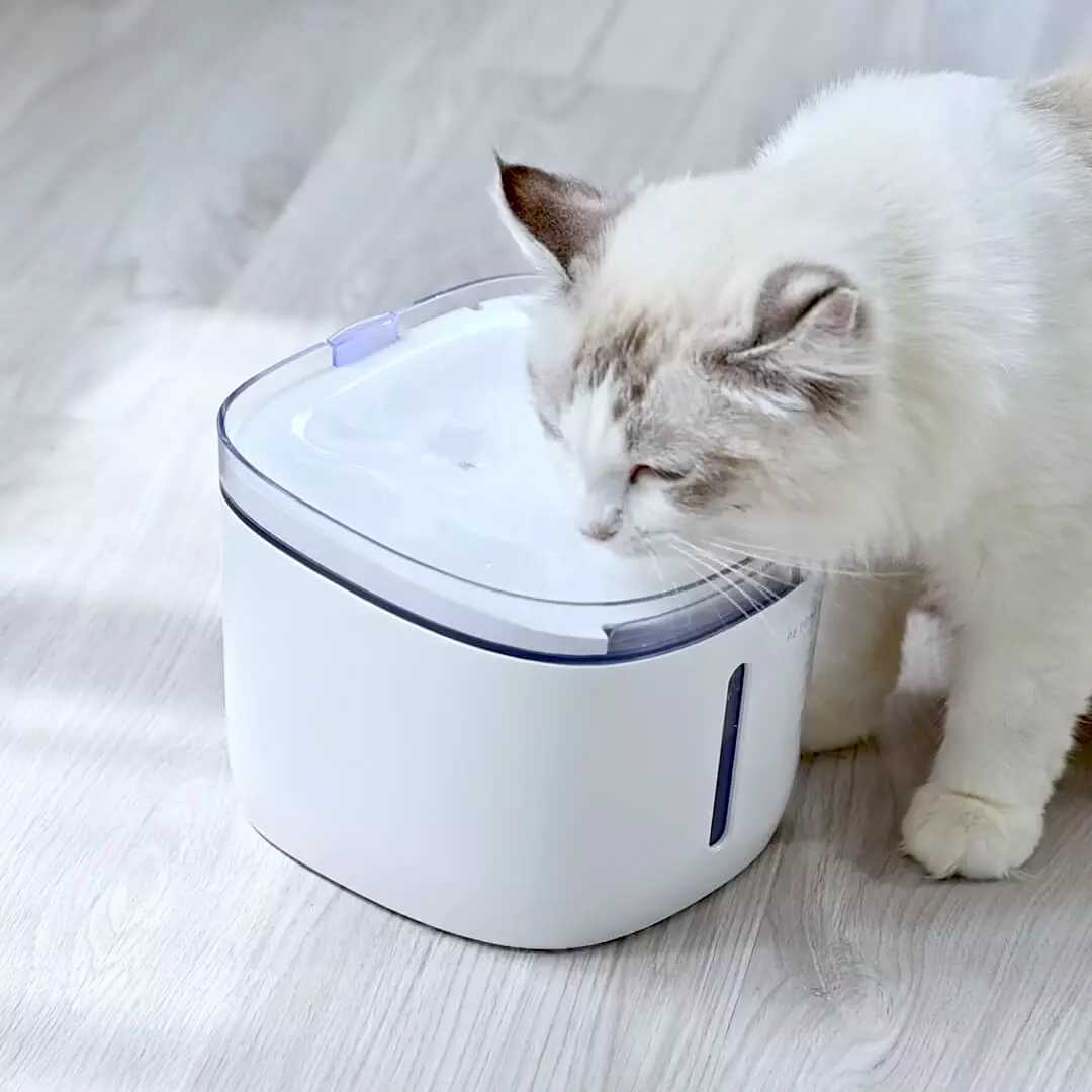 Smart Pet Water Dispenser