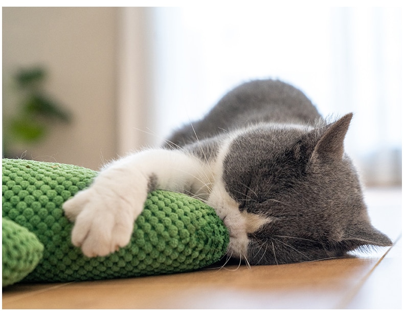 Cactus Catnip Cat  Plush Toy