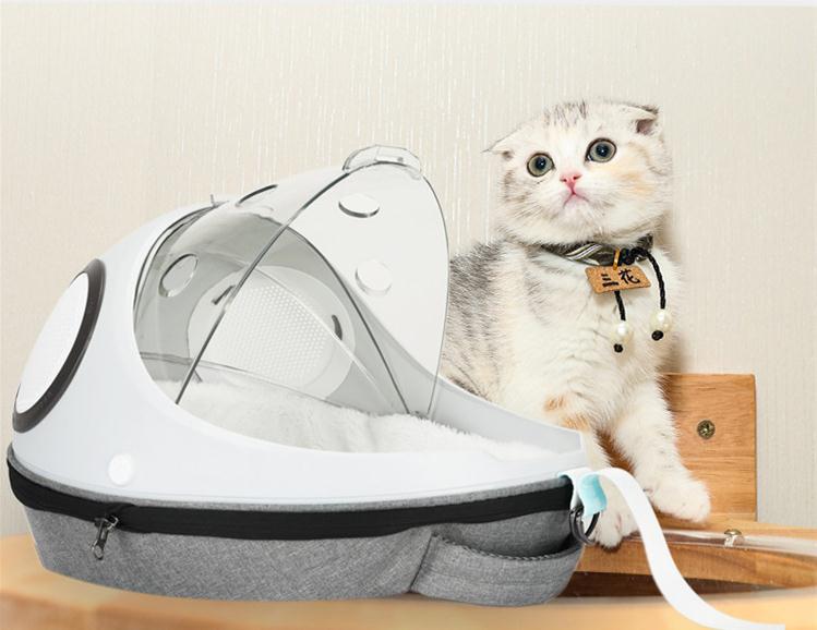 Streamlined Transparent Cat Carrier Backpack