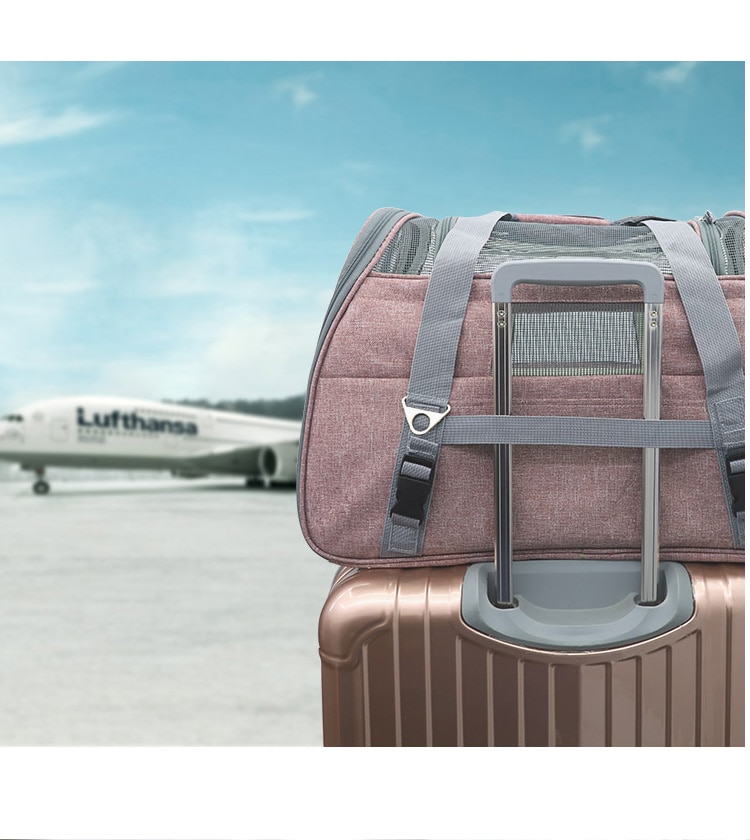 Folding Cat Carrier Bag