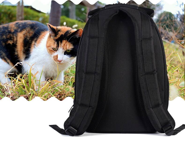 Breathable Space Themed Carrying Pet Backpack