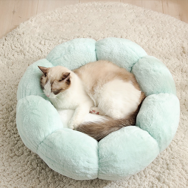 Flower Shaped Cats Bed