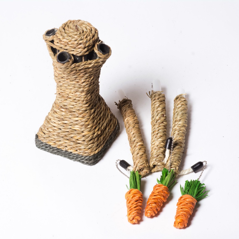 Pirate Themed Stylish Scratching House Toy for Cats