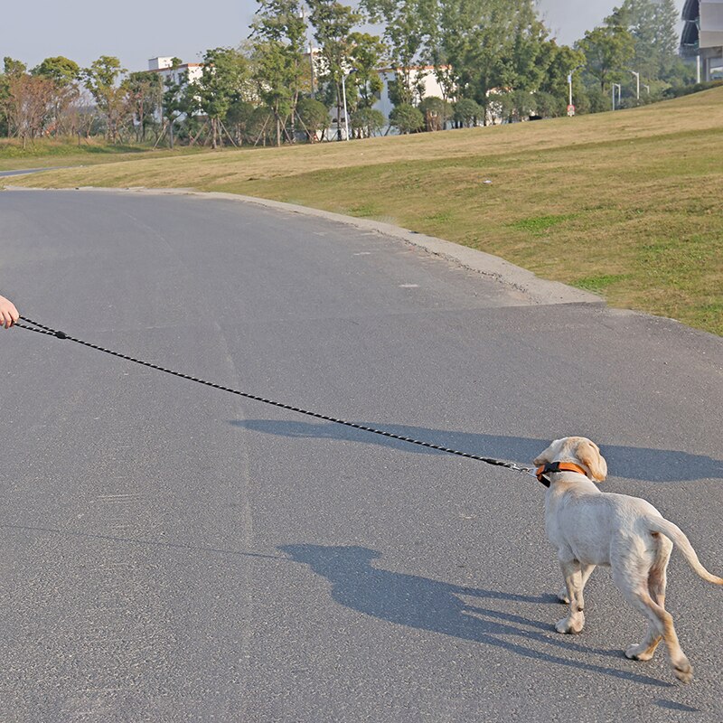 Nylon Universal Dog Long Leash