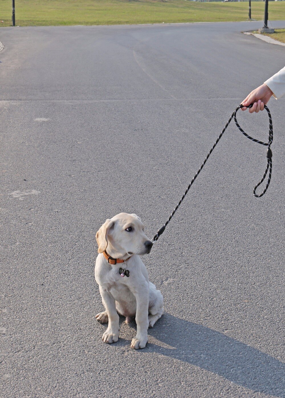 Nylon Universal Dog Long Leash