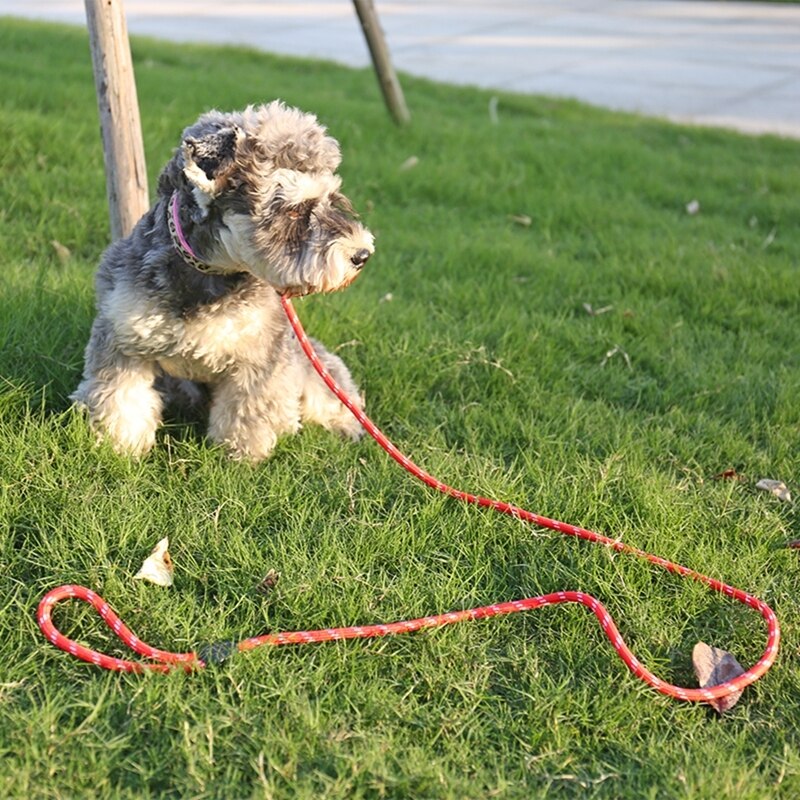 Nylon Universal Dog Long Leash