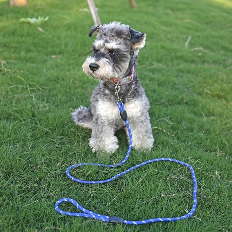 Nylon Universal Dog Long Leash