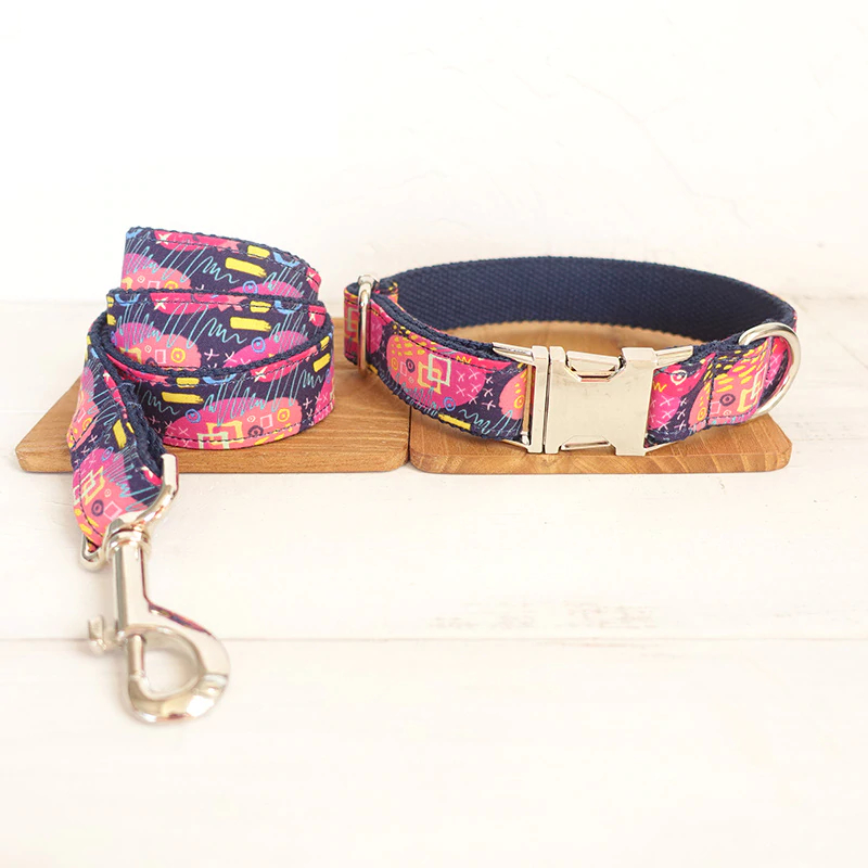 Nylon Dog Collar and Leash Sets