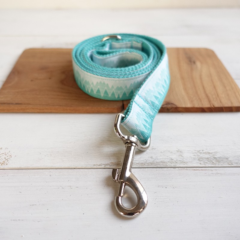 Turquois Dog Collar and Leash Set Turquois Dog Collar and Leash Set