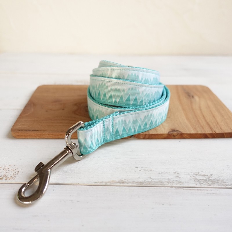 Turquois Dog Collar and Leash Set Turquois Dog Collar and Leash Set