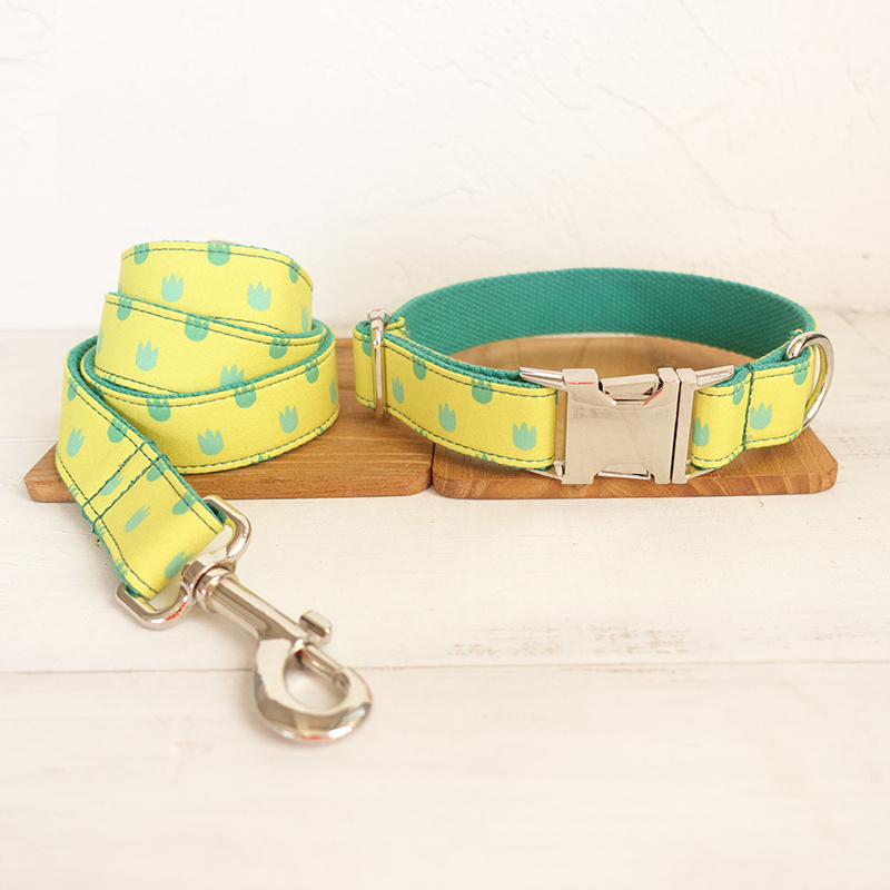 Yellow Dog Collar and Leash Set Yellow Dog Collar and Leash Set
