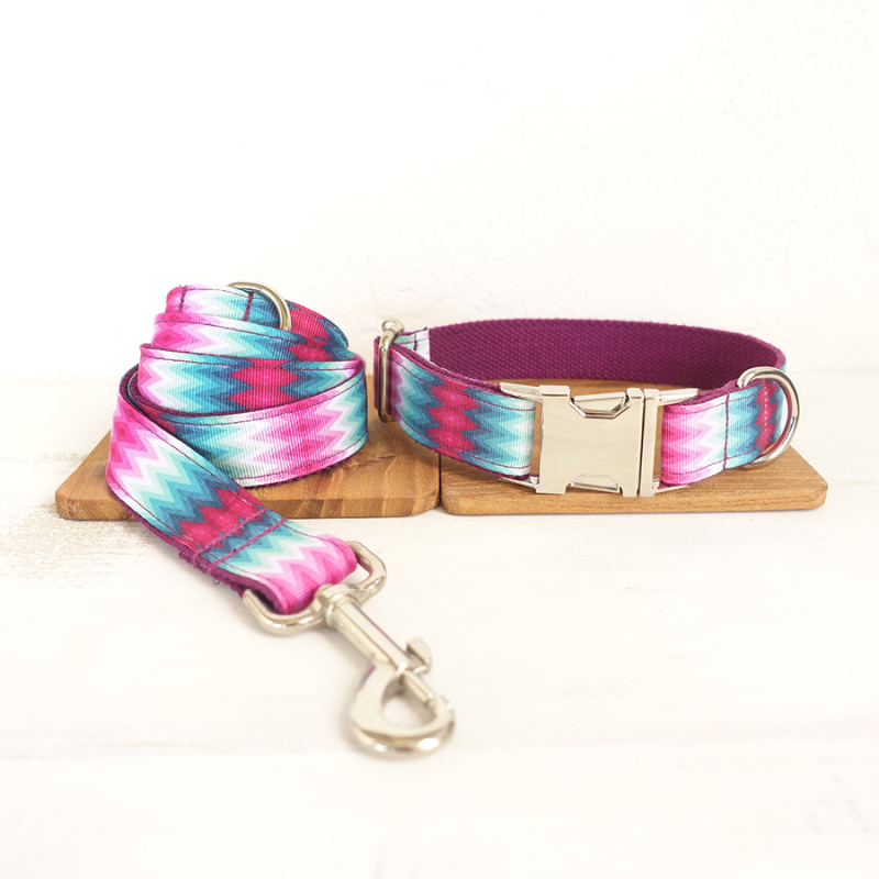 Colorful Dog Collar and Leash Sets Colorful Dog Collar and Leash Sets