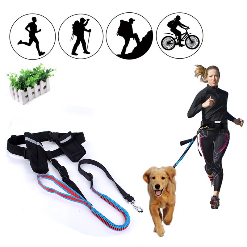 Dog's Hand Free Waist Leash for Running