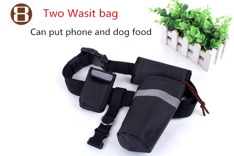 Dog's Hand Free Waist Leash for Running