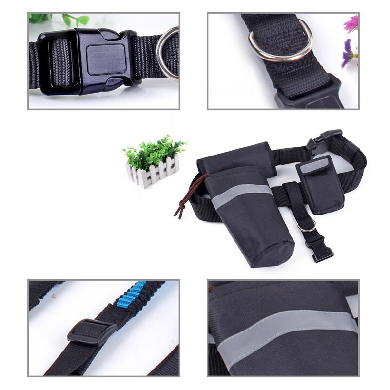 Dog's Hand Free Waist Leash for Running